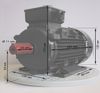 Elektromotor im Bild ein D Mot NTM 40 42004003 0,12 KW 63 A 4 polig B3